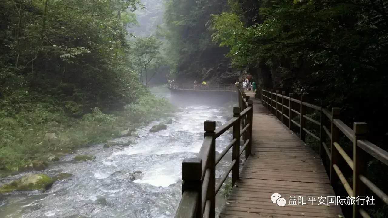 　張家界大峽谷、玻璃橋、黃龍洞品質(zhì)純玩兩日游c2