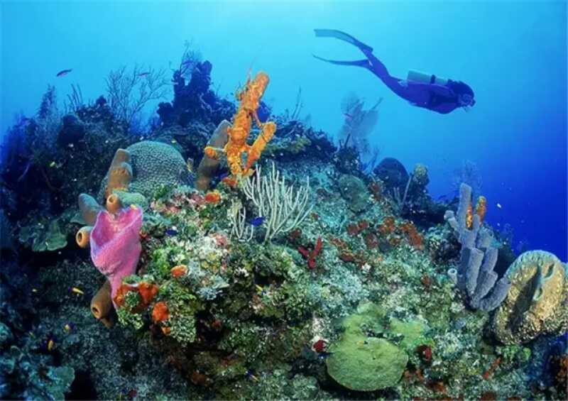 尊享芽莊五日游 尊享芽莊五日游