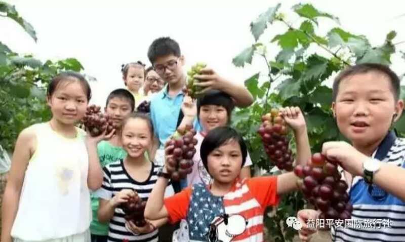 【我和帳篷有個約會】武功山二日游 【我和帳篷有個約會】武功山二日游