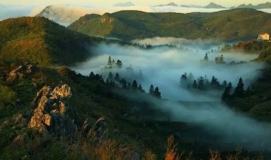 益陽安化?天下茶道、云臺山、茶香花海2日游