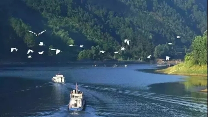 益陽安化?天下茶道、云臺山、茶香花海2日游