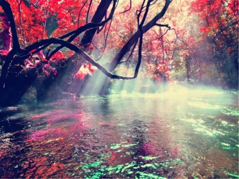 貴州-黃果樹瀑布、荔波大小七孔、西江千戶苗寨5日游