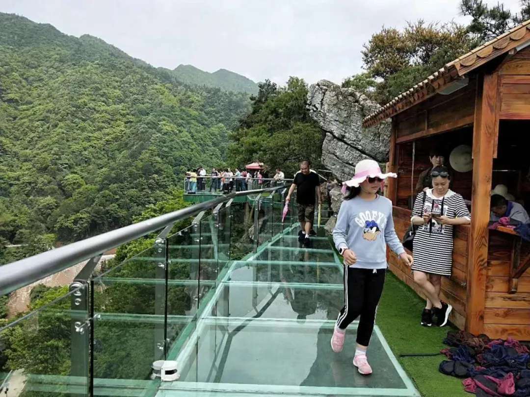 益陽安化?天下茶道、云臺山、茶香花海2日游