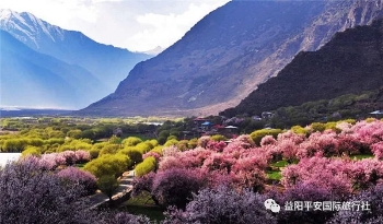 圣潔西藏雙臥11日 圣潔西藏雙臥11日