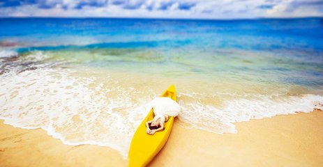 【新長灘-尊享長灘島】超值純玩半自由行7日游 【新長灘-尊享長灘島】超值純玩半自由行7日游