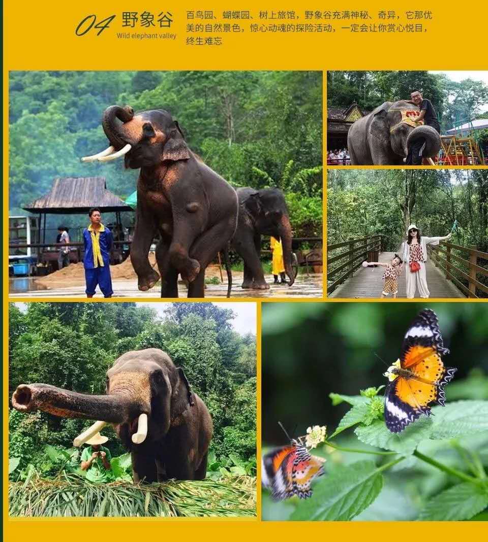昆明西雙版納親子度假三飛六日游 昆明西雙版納親子度假三飛六日游
