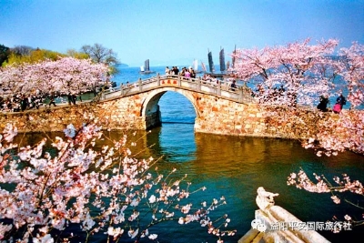 華東五市單高單臥六日游 華東五市單高單臥六日游