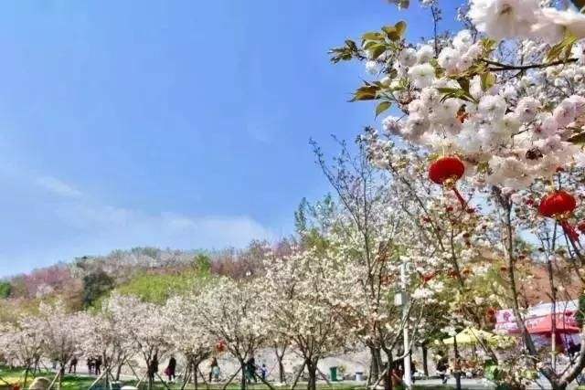 長沙潯龍河櫻花谷、田漢文化園一日游