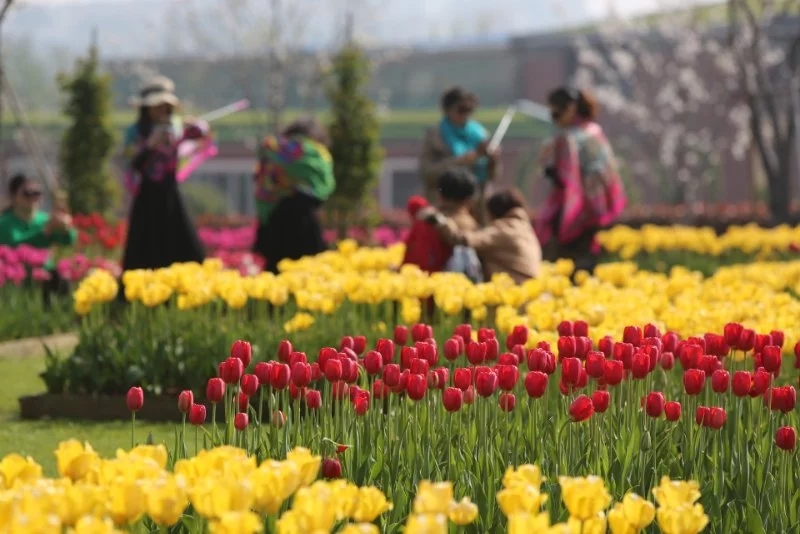 岳陽(yáng)花語(yǔ)世界、汴河街一日游