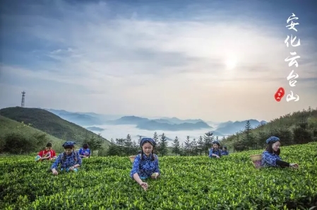 安化云臺(tái)山一日游 安化云臺(tái)山一日游