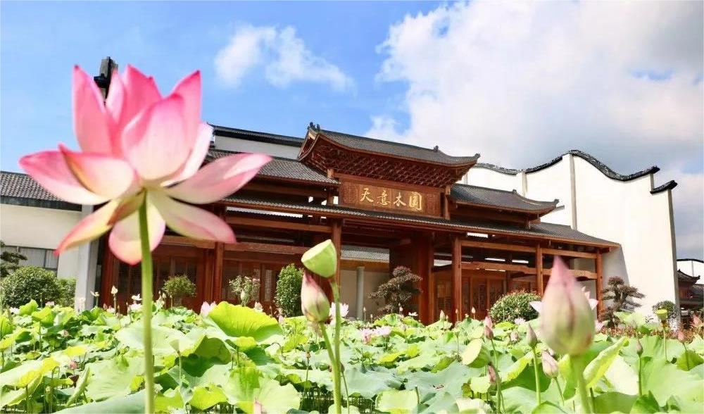 清溪村、天意木國景區(qū)、明清古巷、市博物館、胡林翼故居二日游